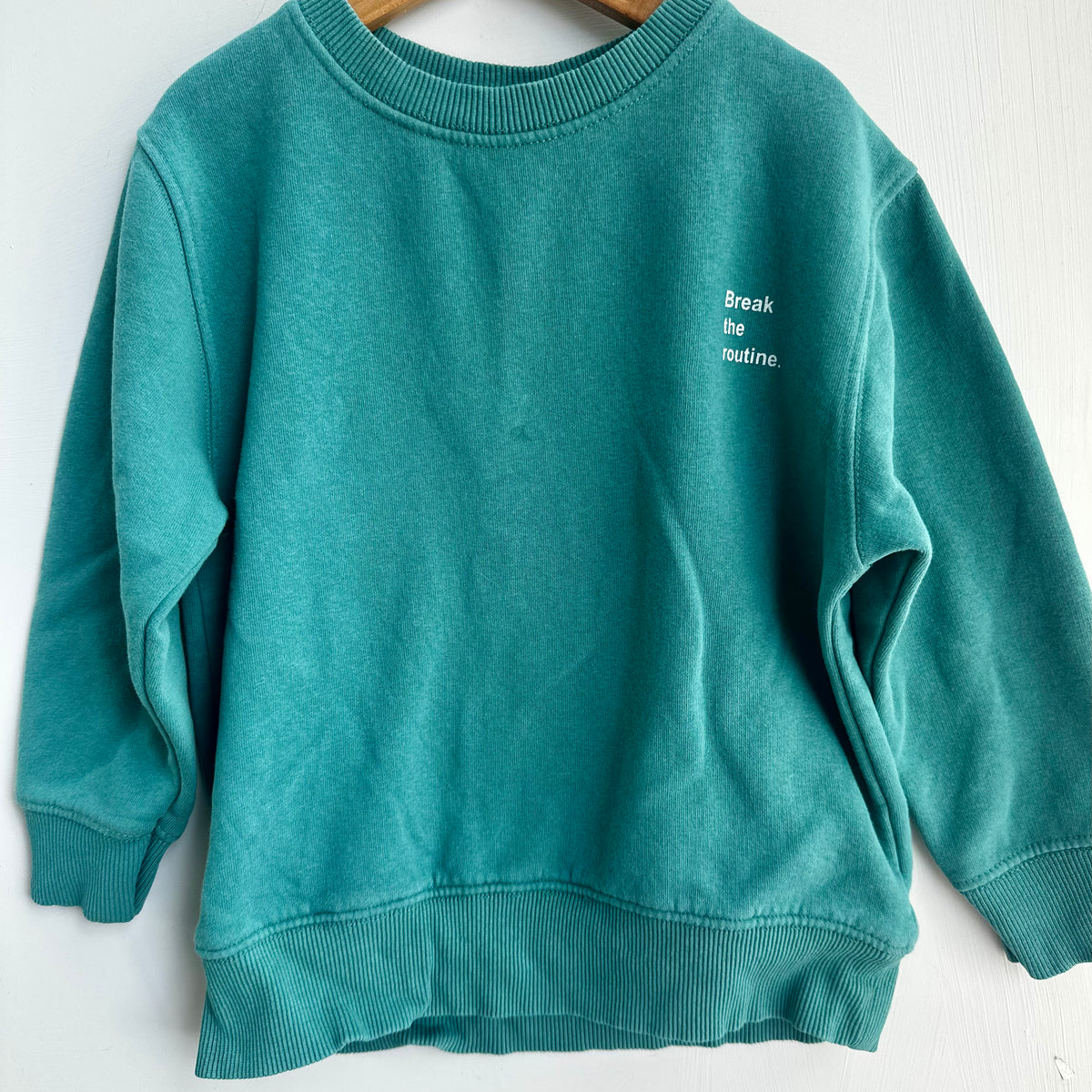 Crewneck vert zara 6 ans | Seconde main (mini imperfection*)