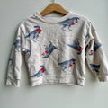 Pull dino Carter's 2 ans | Seconde main