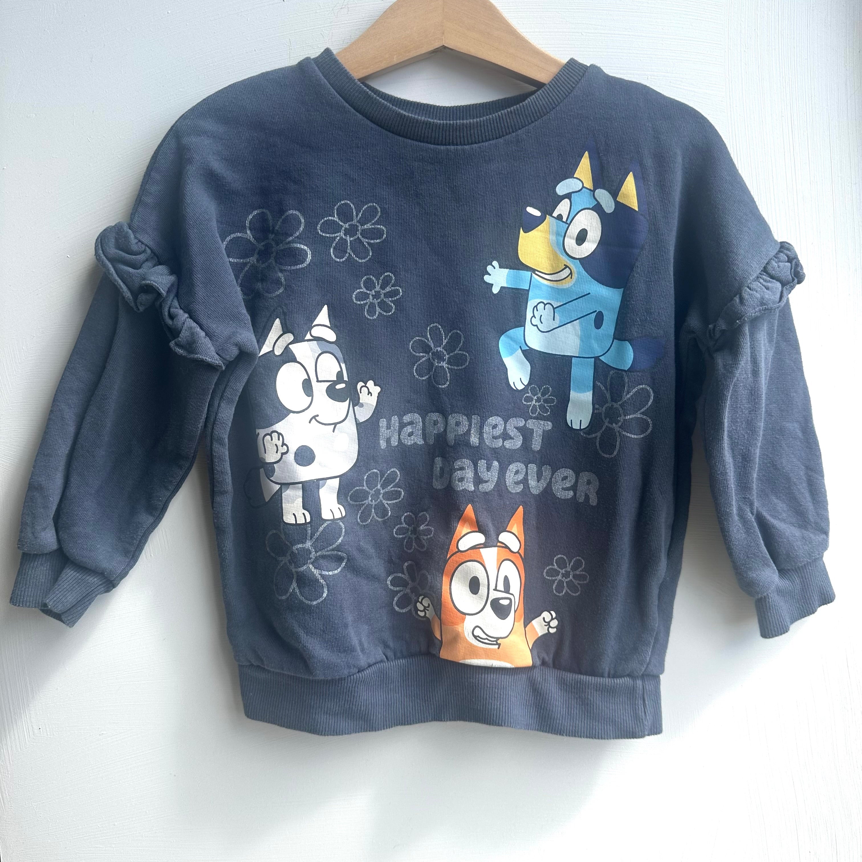 Pull Bluey 2-3 ans George | seconde main