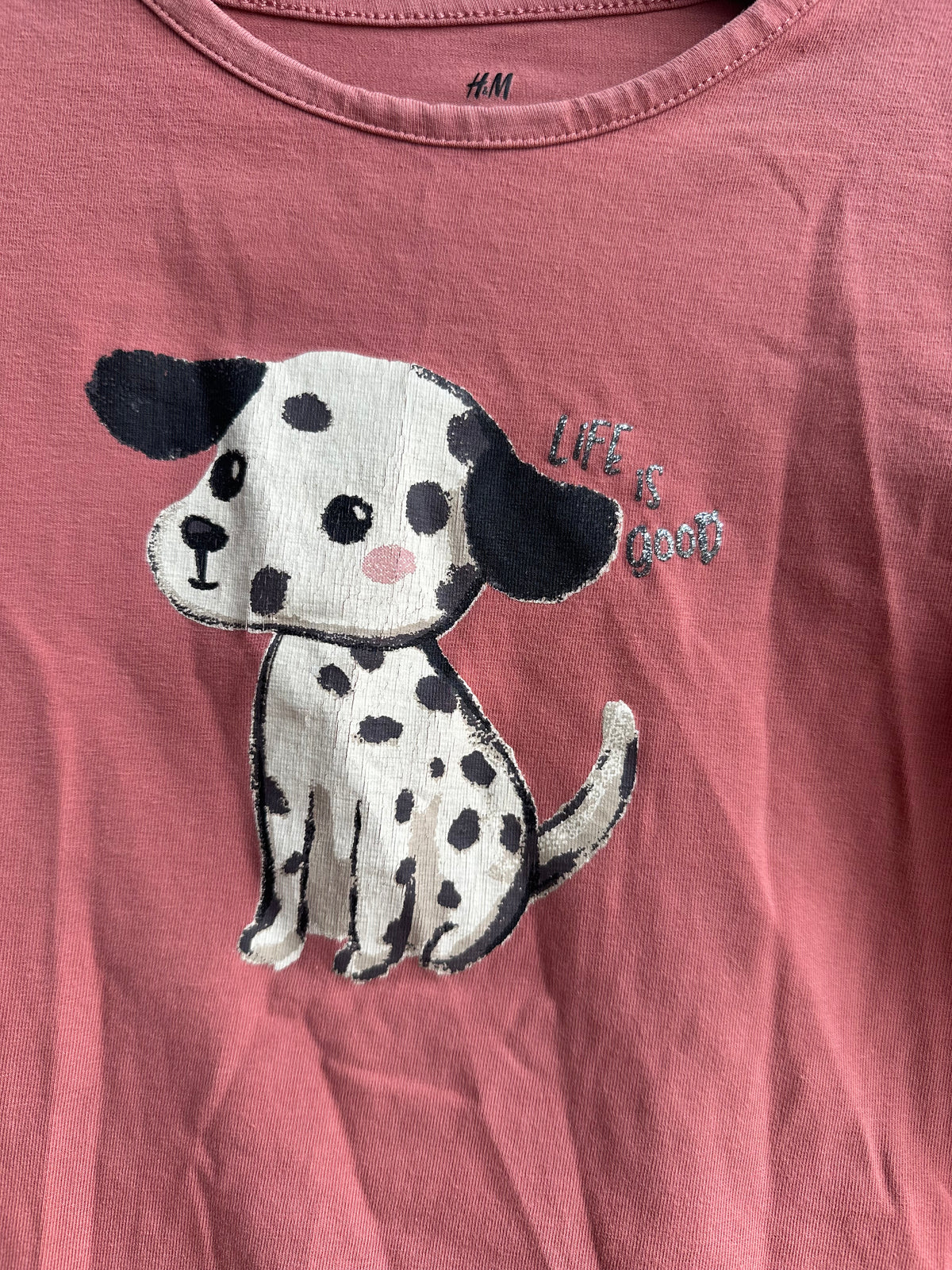 Chandail chien H&M 6-8 ans | Seconde main