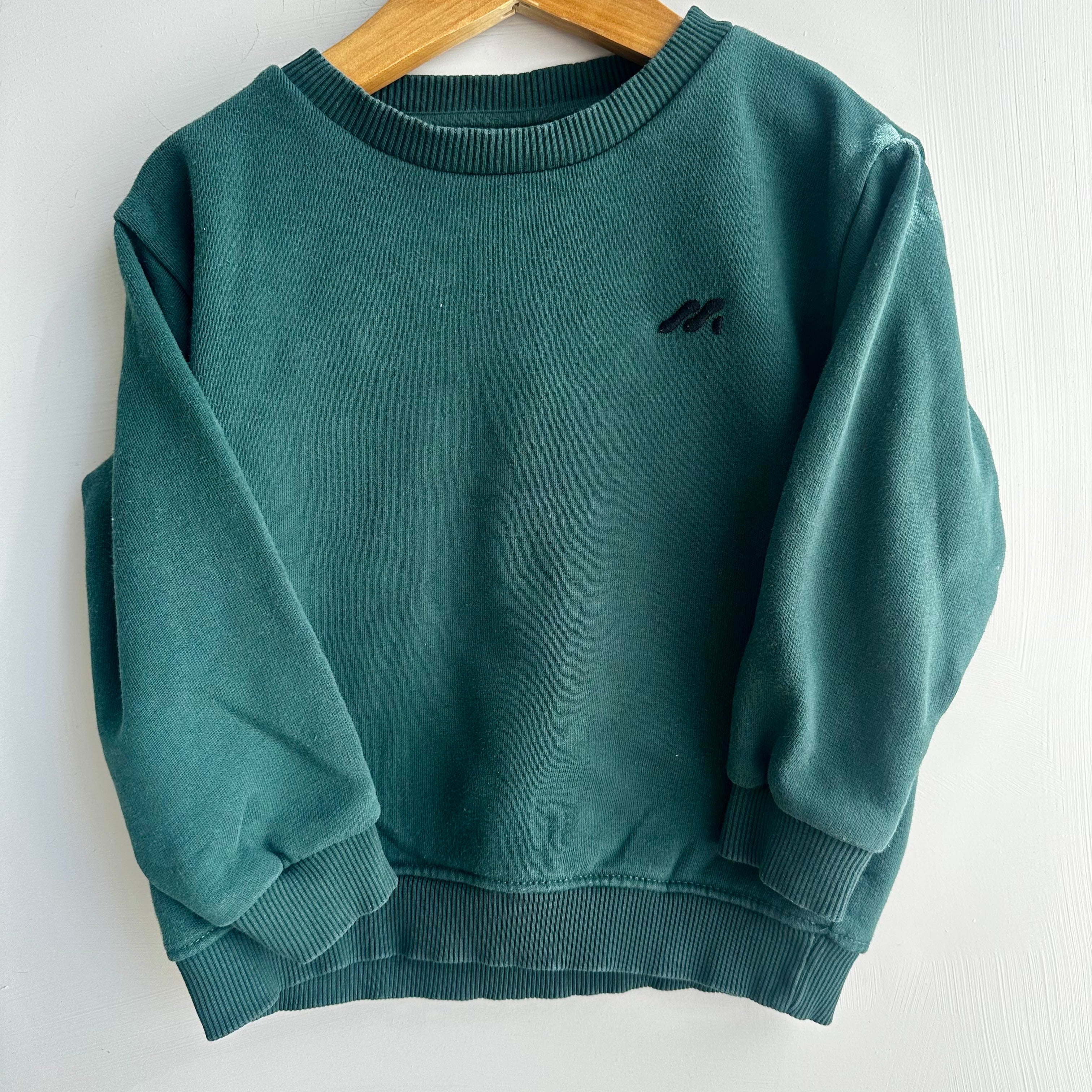 Pull vert forêt Zara 3 ans | Seconde main