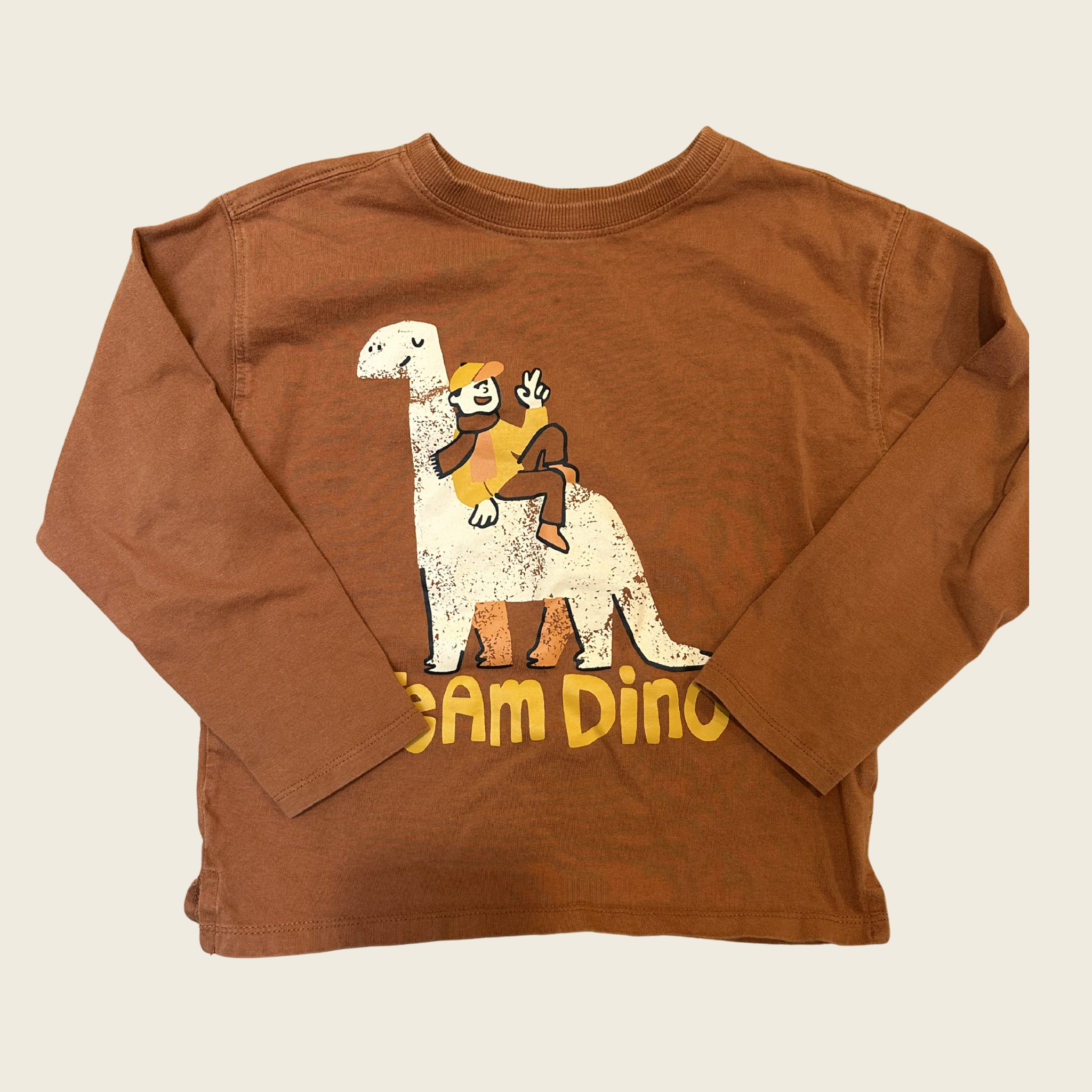 Chandail dinosaures | Zara |5-6 ans